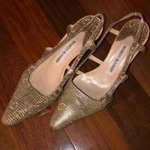 Manolo Blahnik Snakeskin Heels, Size 36
